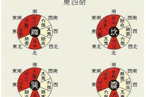 东四命离命人|易经算命解析离命东四命是什么意思？